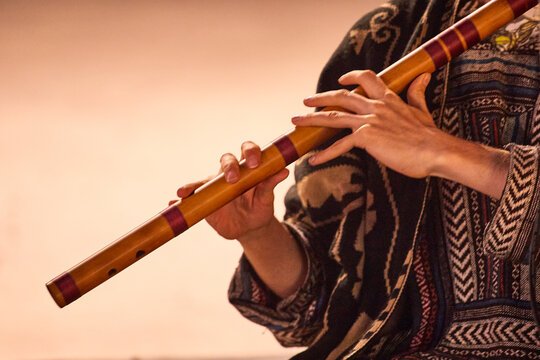 ওগো বাঁশিওয়ালা । রবিশঙ্কর মৈত্রী