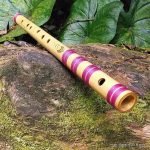 Flute, Bansuri, বাঁশি, बांसुरी