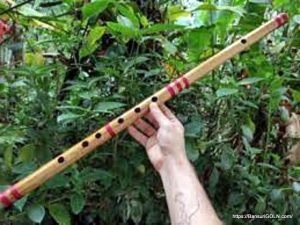 Flute, Bansuri, বাঁশি, बांसुरी