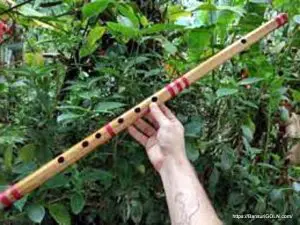 যোগাযোগ 3 Flute, Bansuri, বাঁশি, बांसुरी