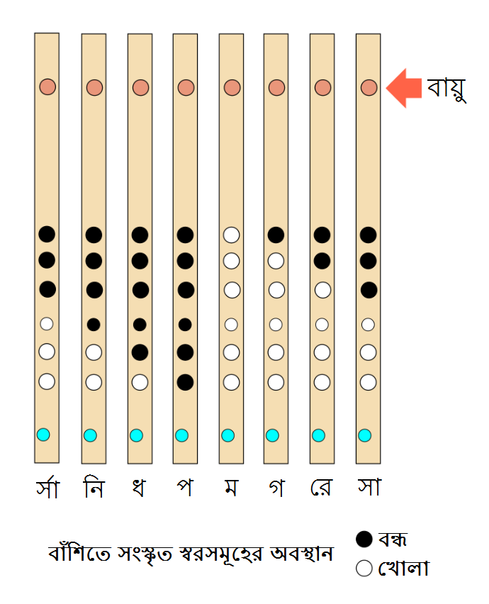 বাঁশি পরিচয় বাঁশির গঠন